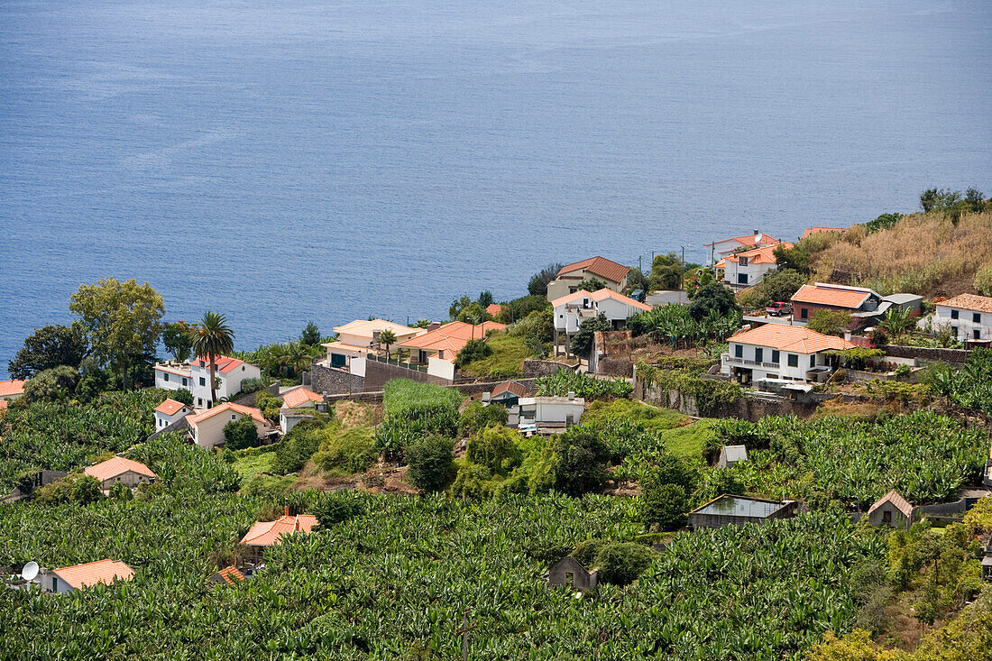 Häuser inmitten von Bananen Plantage, Madalena do Mar, Madeira, Portugal