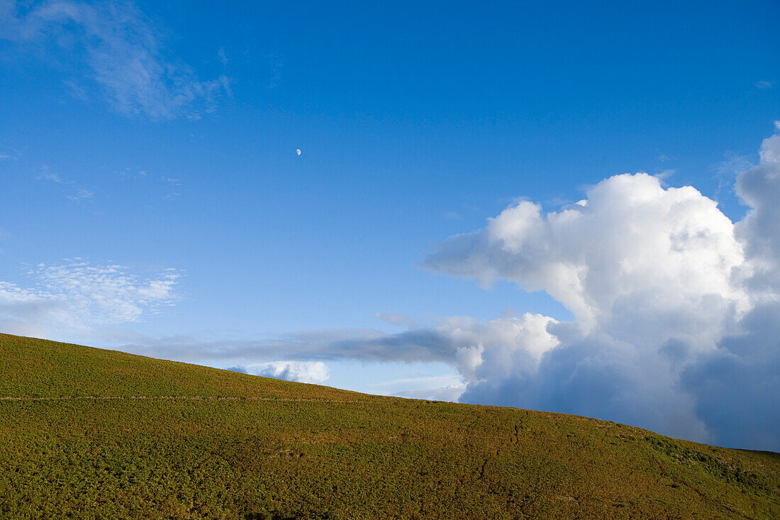 Mond und Hügel mit Baumheide, nahe Rabacal, Paul da Serra Hochebene, Madeira, Portugal