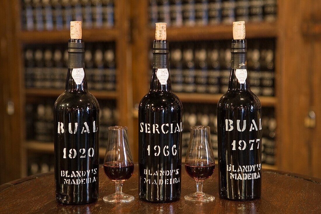 Weinprobe im Verkaufsraum der The Old Blandy Wine Lodge, Funchal, Madeira, Portugal
