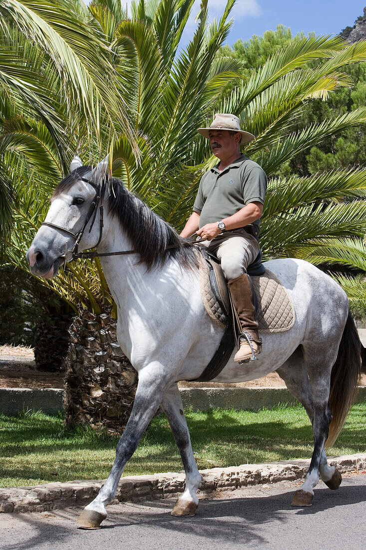 Man on horseback at the Centro Hipico Equestrian Center, Ponta, Porto Santo, near Madeira, Portugal