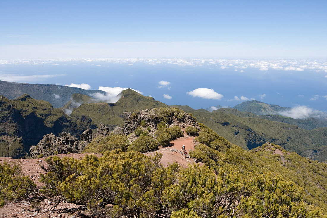 Wanderer auf Wanderpfad zum Gipfel des Berg Pico Ruivo, Pico Ruivo, Madeira, Portugal