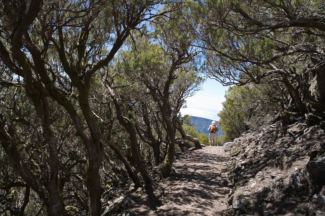 Hiker descends from Summit of Pico Ruivo Mountain, Pico Ruivo, Madeira, Portugal