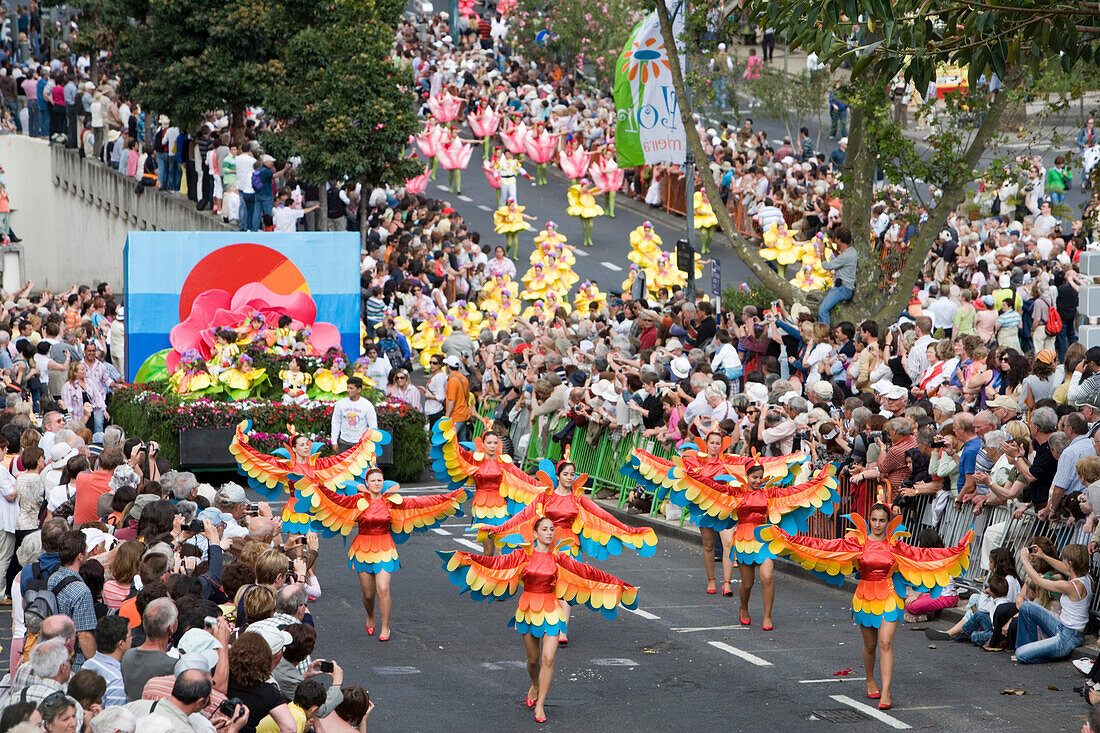 Dancers and Floral Float at Madeira … License image 70271436 lookphotos