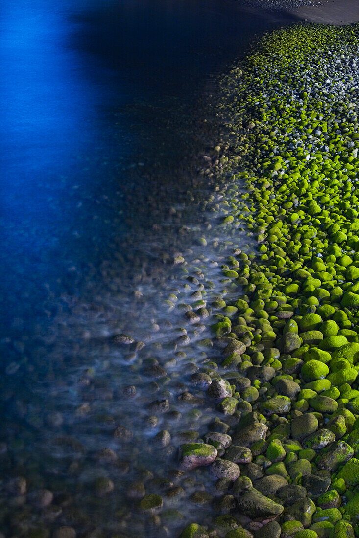 Nachtaufnahme von algenüberwachsenen Steinen am Strand, Ponta do Sol, Madeira, Portugal