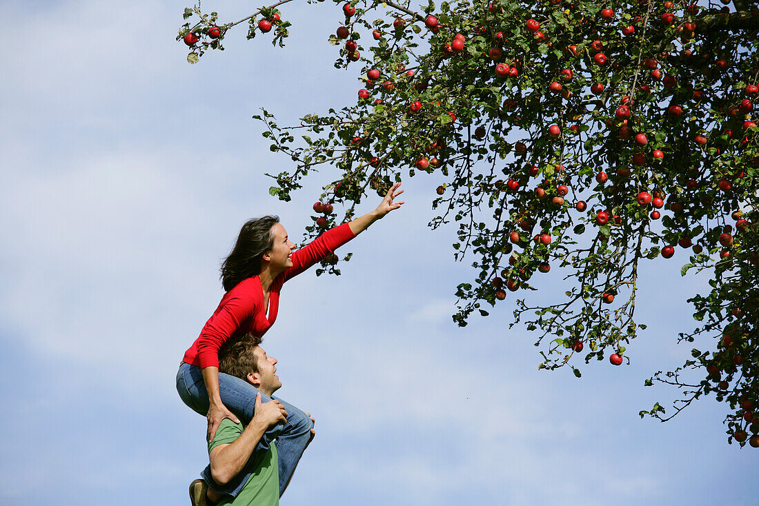 Woman on man's shoulders, reaching for an apple, Styria, Austria