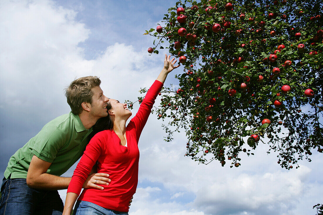 Couple under an apple tree, woman reaching for an apple, Styria, Austria