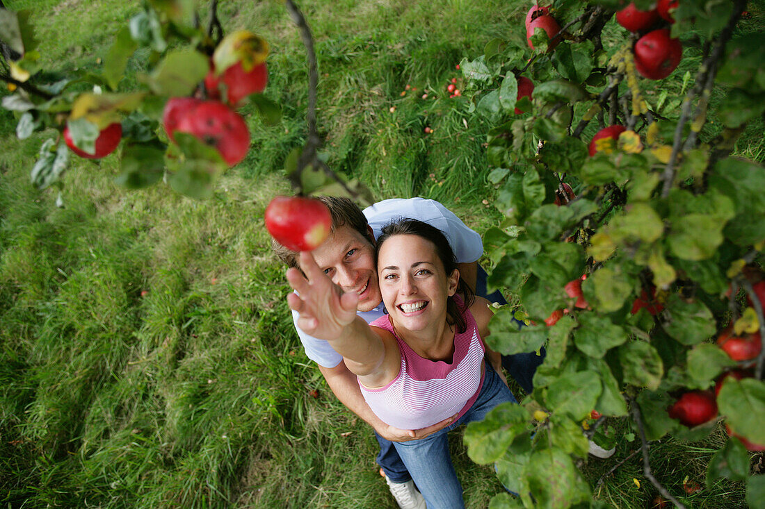 Couple under an apple tree, woman reaching for an apple, Styria, Austria