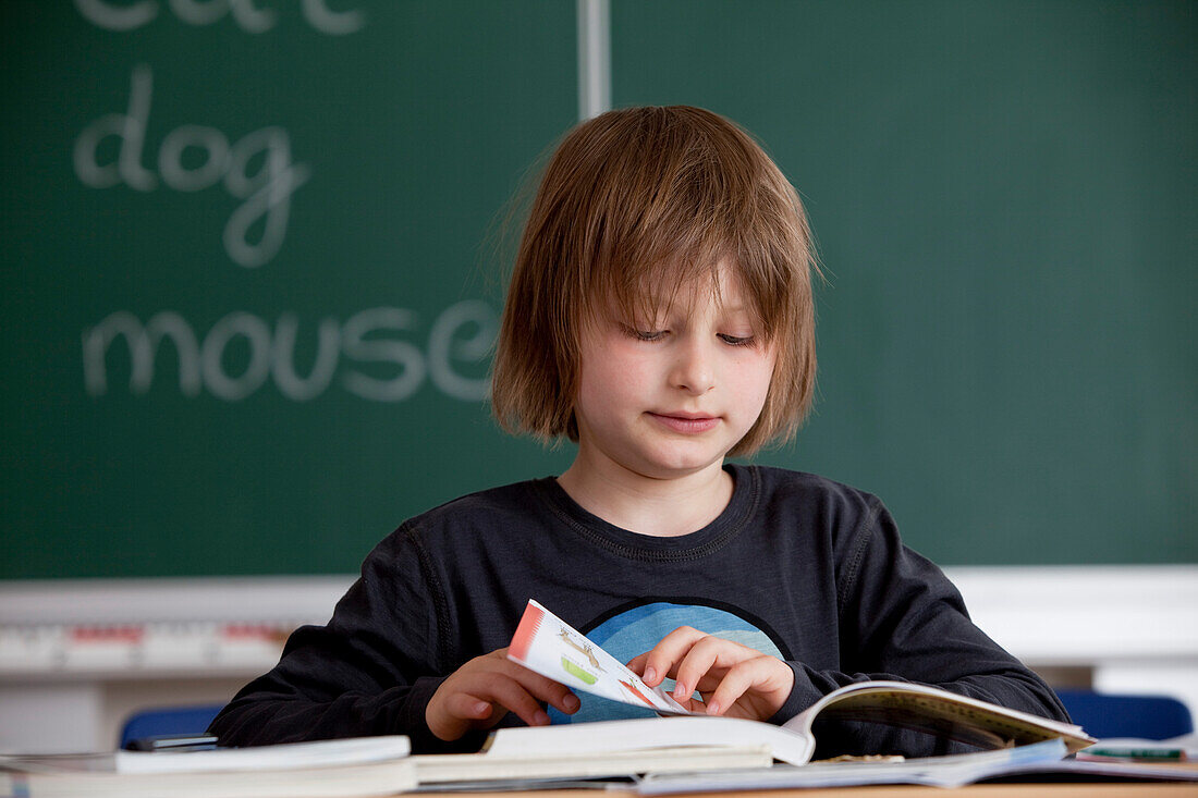 Schüler liest in einem Buch, Hamburg, Deutschland