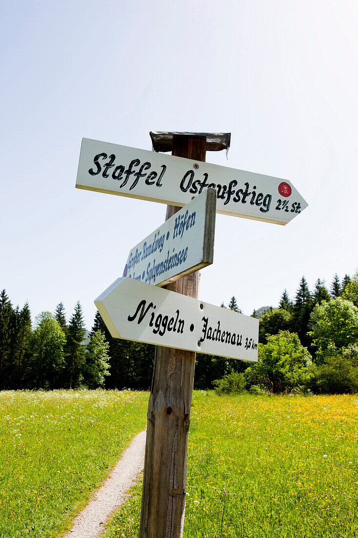 Wegweiser am Wegrand, Berg Staffel, Jachenau, Bayern, Deutschland