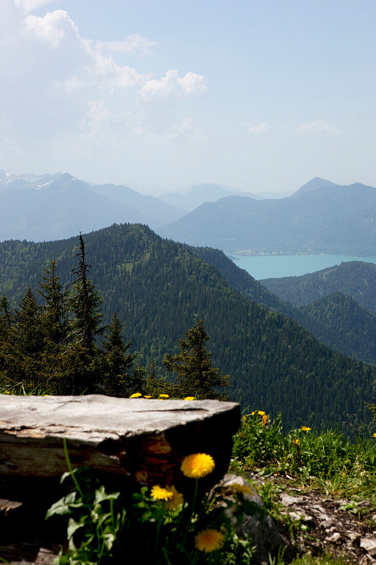 View from mount Staffel to Lake Walchen, Jachenau, Bavaria, Germany