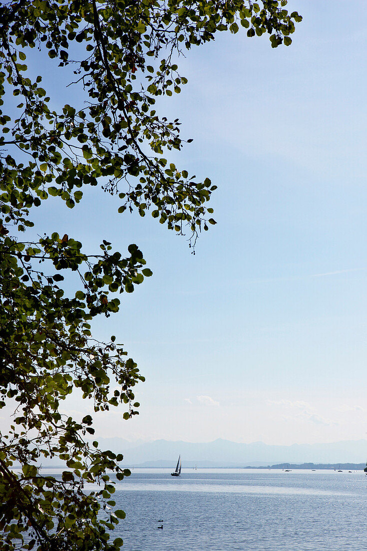 Sailboats on lake Starnberg, Possenhofen, Pocking, Bavaria, Germany