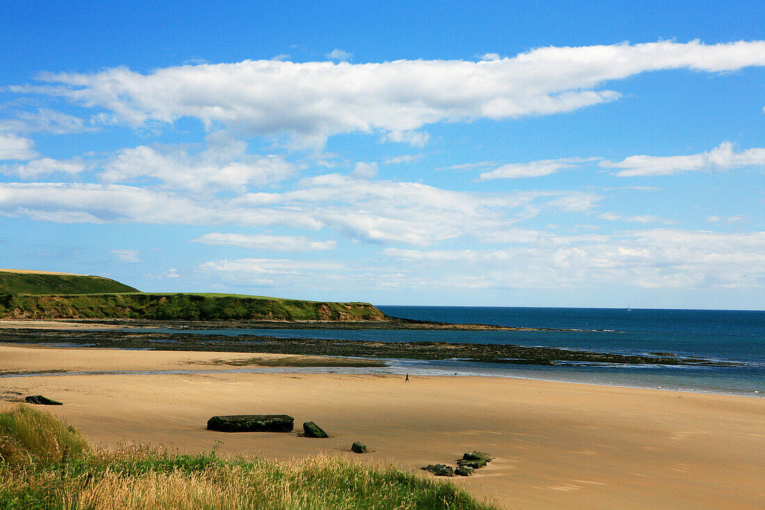 Sandy beach under clouded sky, Whiting Bay Beach, County Waterford, south coast, Ireland, Europe