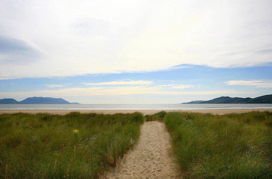 Dünenlandschaft und Blick auf den Atlantik, Inch, Dingle Halbinsel, County Kerry, Westküste, Irland, Europa