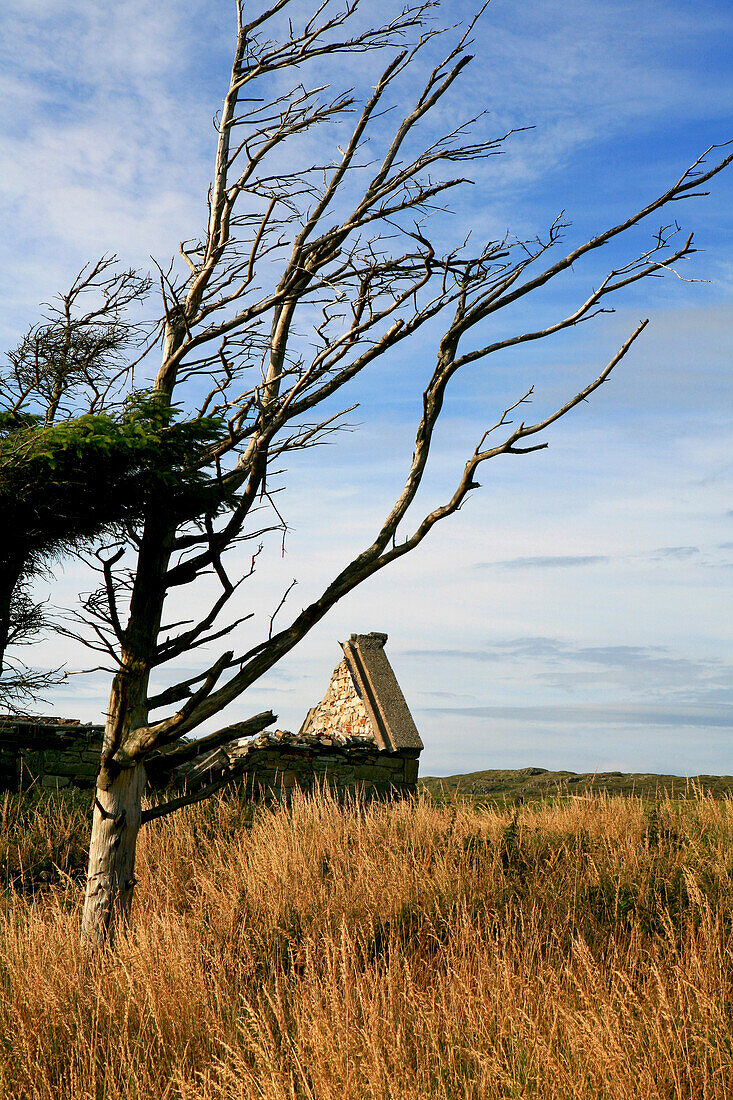 Ruine eines traditionellen irischen Cottage in idyllischer Landschaft, Connemara, County Galway, Westküste, Irland, Europa