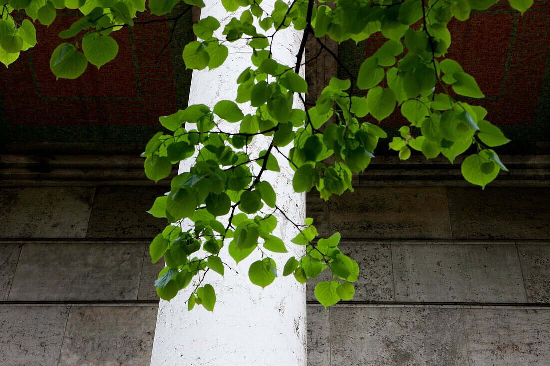 Säule, Haus der Kunst, München, Bayern, Deutschland