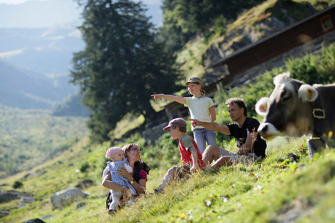 Familie und Kühe auf einer Alm, Pflerschtal, Südtirol, Trentino-Alto Adige, Italien