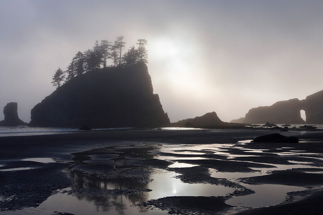 Felsen an der Küste, Olympic Nationalpark, Washington, USA