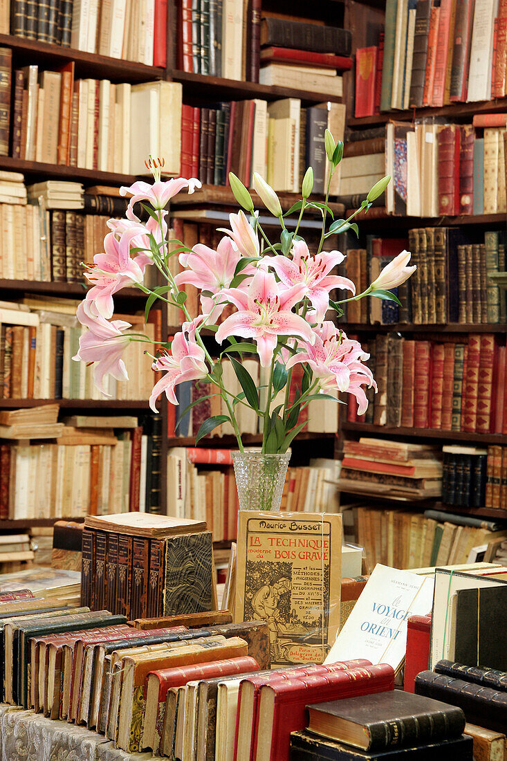 Librairie 'Le Septentrion', Saint-Malo, Ille-Et-Vilaine (35), France