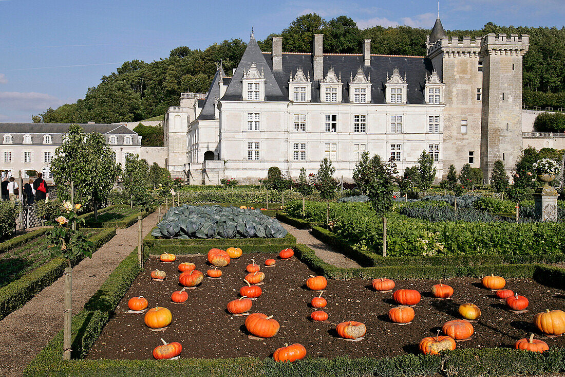 The Gardens, Chateau De Villandry, Indre-Et-Loire (37), France