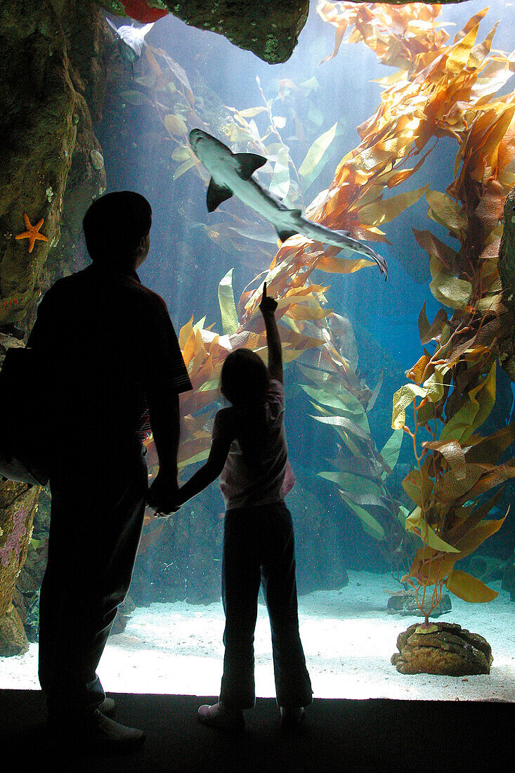 Aquarium (Oceonario), Park Of Nations Neighborhood, Site Of The 1998 World Expo, Lisbon, Portugal