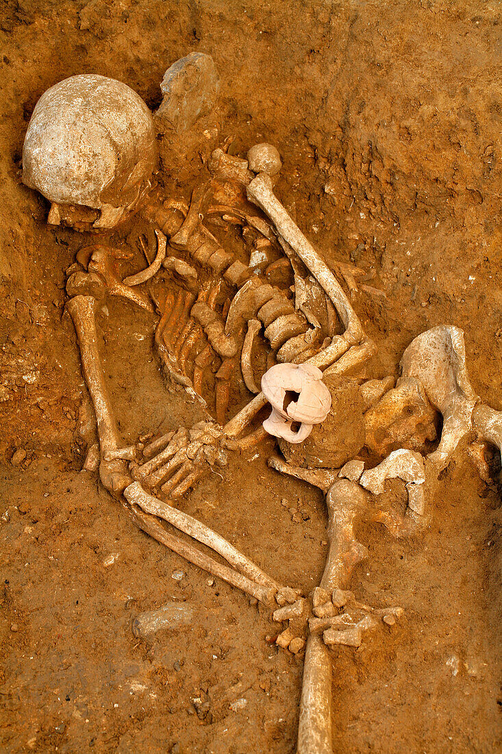 Preventive Archaeological Excavation Site In A Parcel Of The Roman Cemetary In Evreux By A Team From The National Institute Of Preventive Archaeological Excavations (Inrap). The Dig Has Uncovered Graves Containing A Mix Of Human And Horse Bones, Evreux