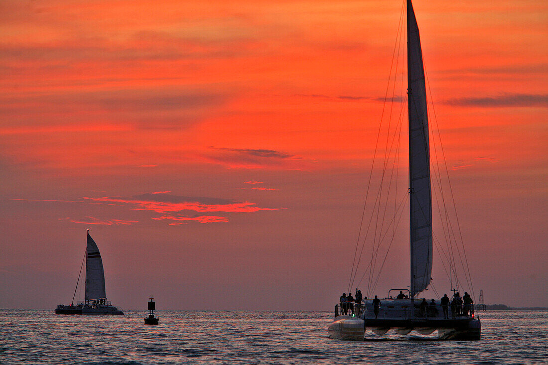 Backlit Catamarans And Sailboats At Sunset, Key West, Florida, Usa