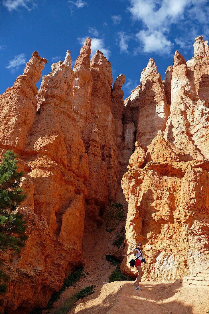 Tourist Walking Amidst The Earth Pillars In Bryce Canyon, Bryce Canyon National Park, Utah, United States, Usa