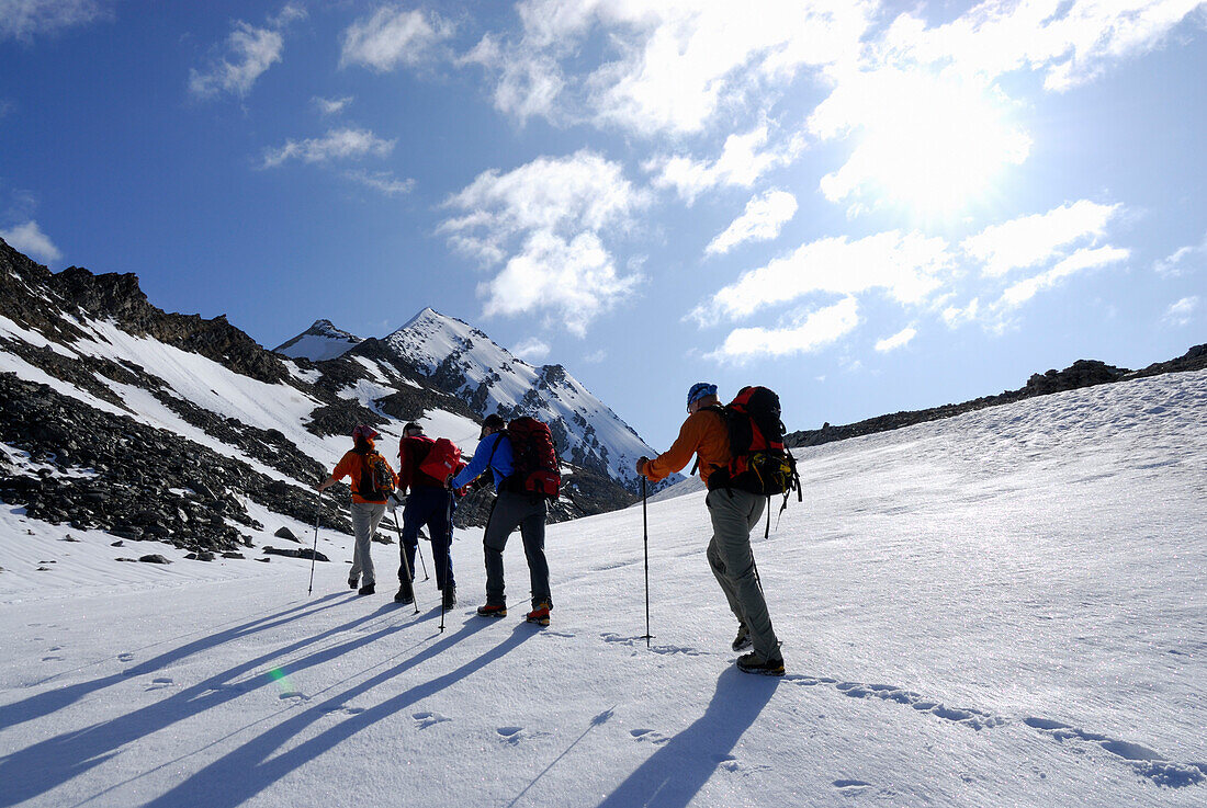 Vier Bergwanderer steigen über ein Schneefeld zum Hochfeiler auf, Zillertaler Alpen, Südtirol, Italien