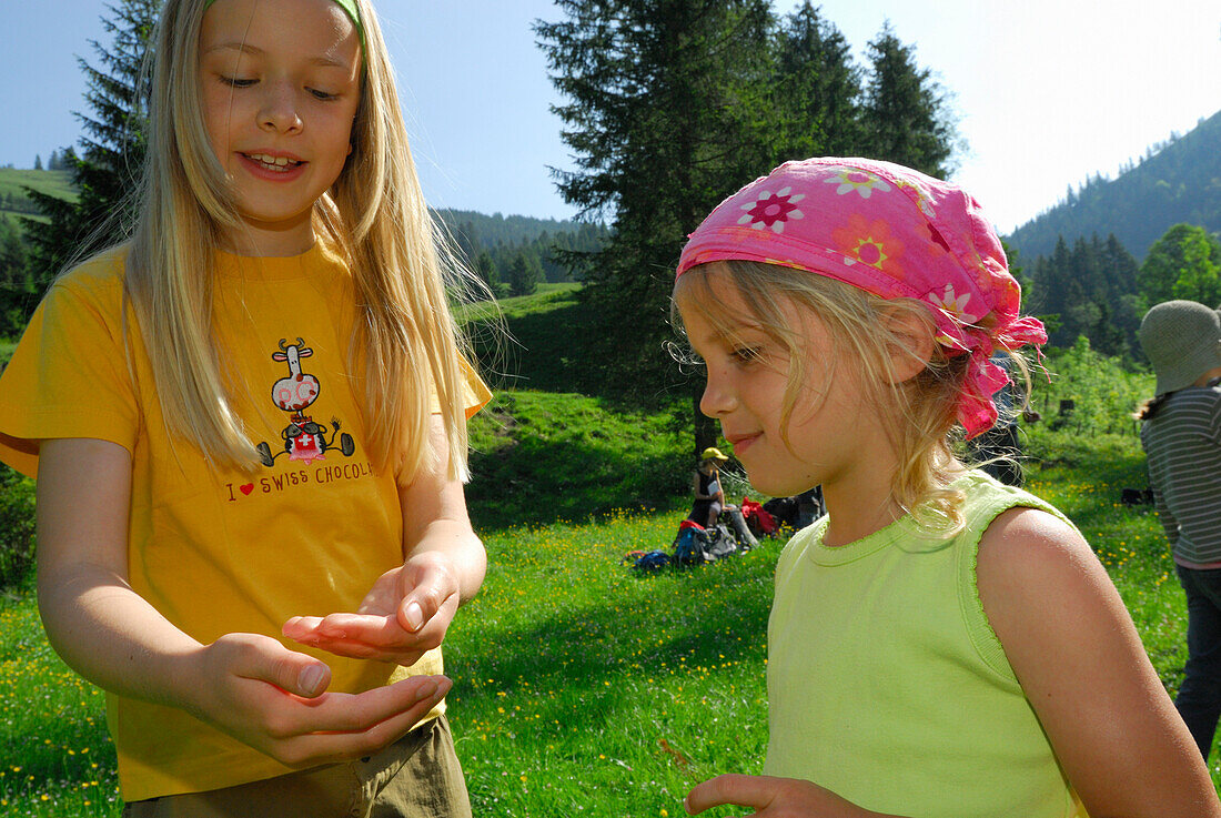 Two girls looking at something in a hand, Bavarian Alps, Upper Bavaria, Bavaria, Germany