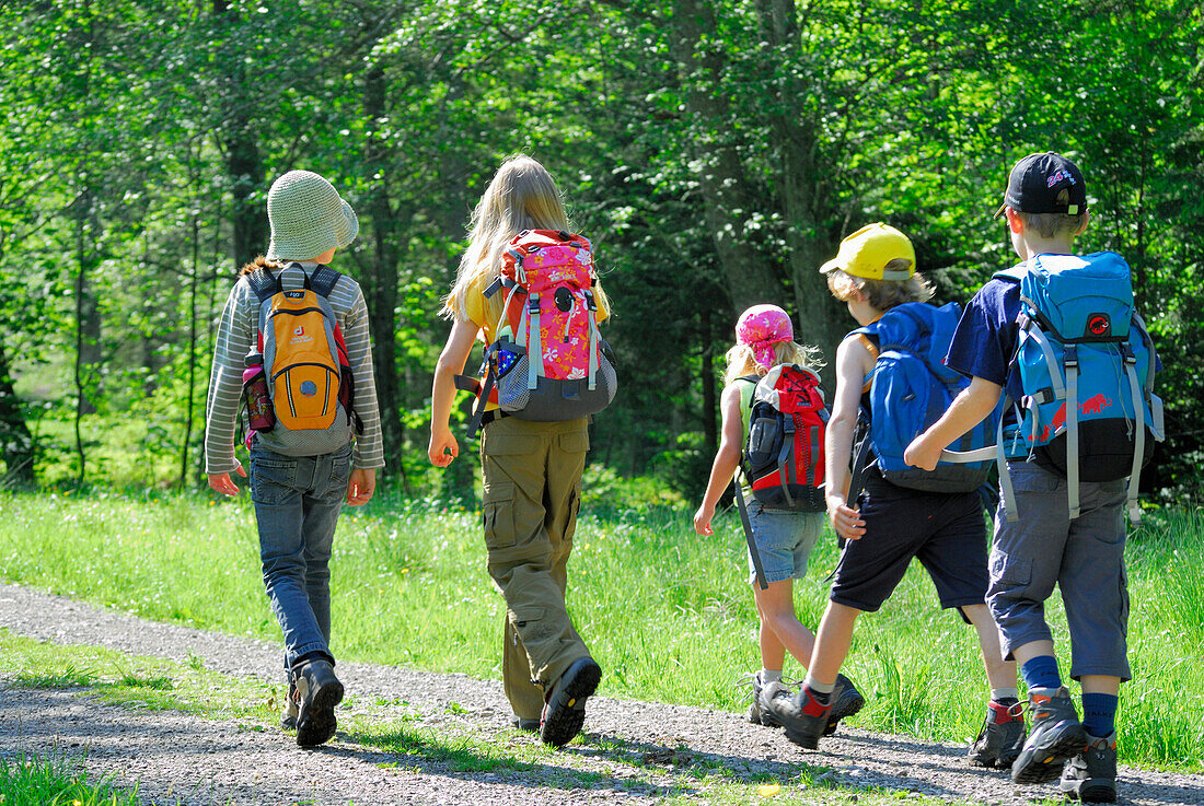 Children hiking along a meadow, Bavarian Alps, Upper Bavaria, Bavaria, Germany