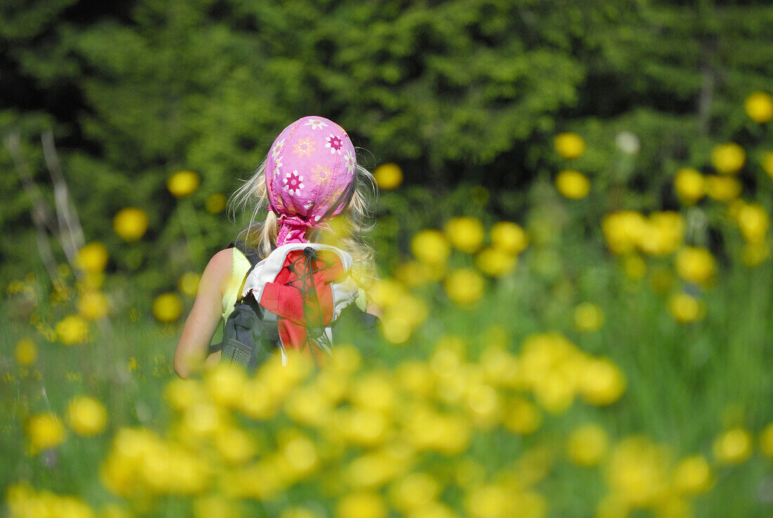 Mädchen in einer Blumenwiese, Bayerische Alpen, Oberbayern, Bayern, Deutschland