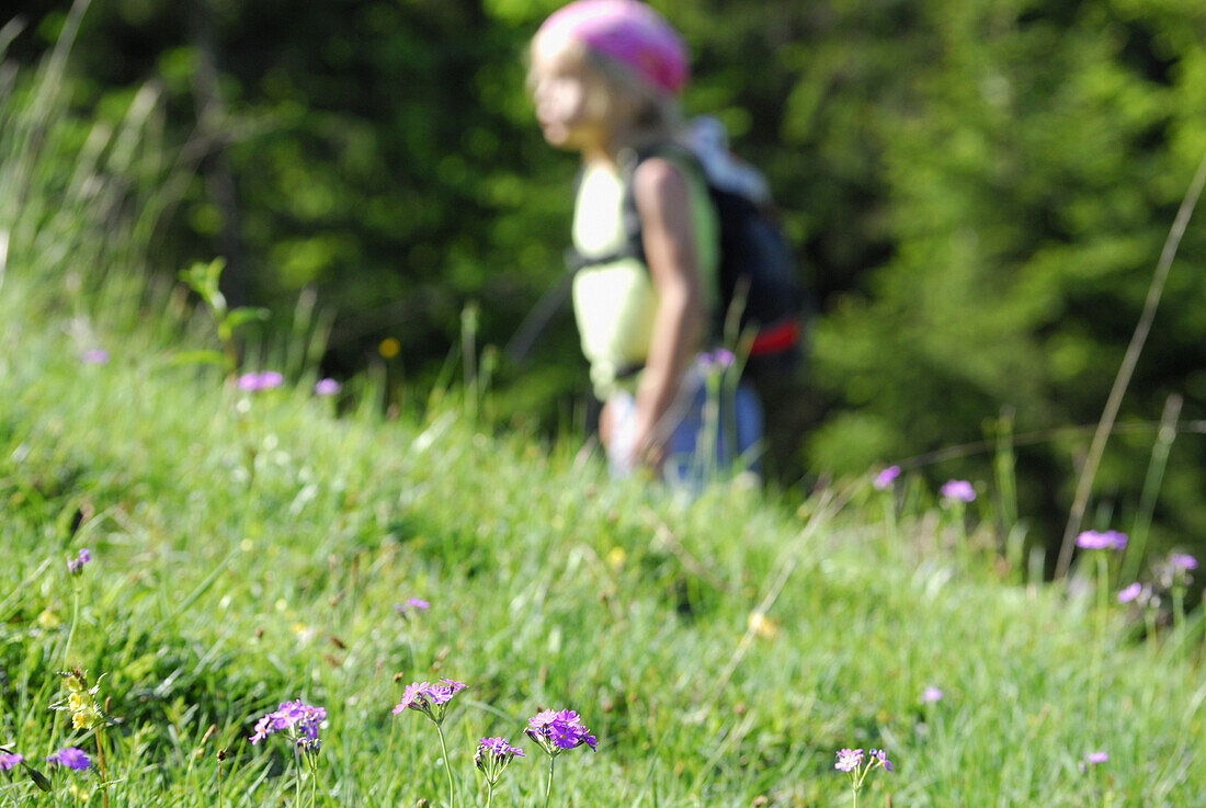 Girl hiking over pasture, Bavarian Alps, Upper Bavaria, Bavaria, Germany