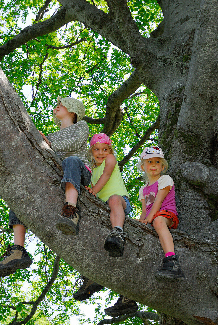 Girls sitting on a branch, Bavarian Alps, Upper Bavaria, Bavaria, Germany