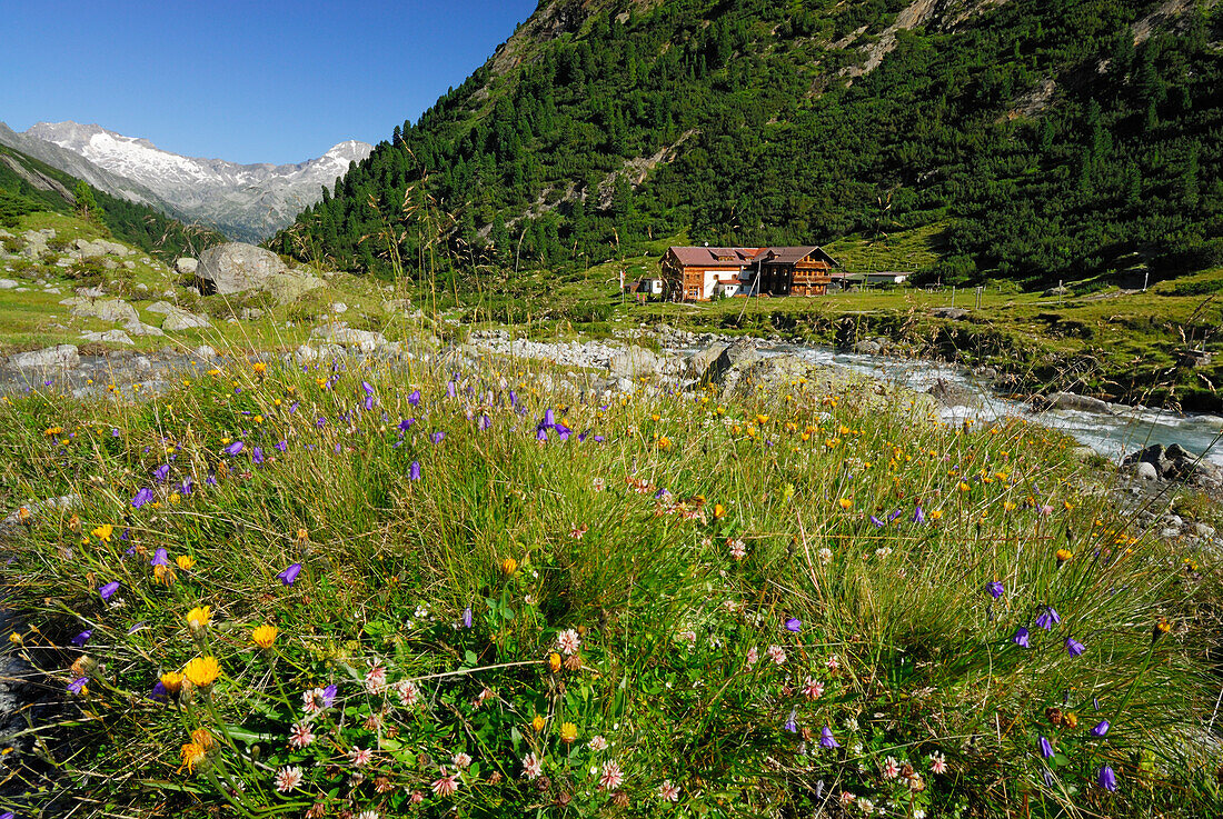 Mountain scenery with stream and inn Alpenrose near hut Berliner Huette, Zillertal, Zillertal Alps, Tyrol, Austria
