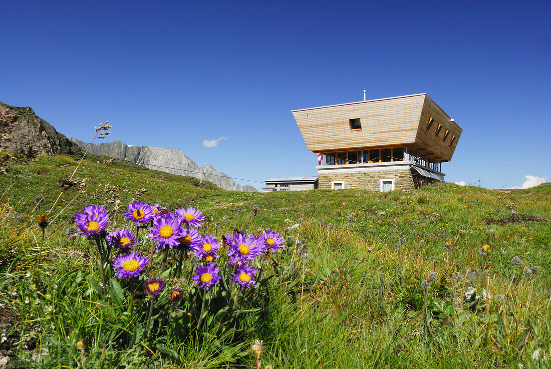 Berghütte auf einer Wiese, Tessiner Alpen, Kanton Tessin, Schweiz