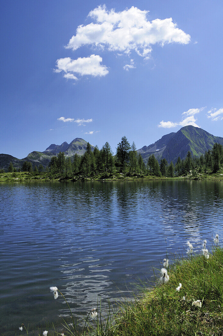 Mountain lake Lago Pozzoi with cotton grass, Ticino range in background, Val di Campo, Ticino, Switzerland