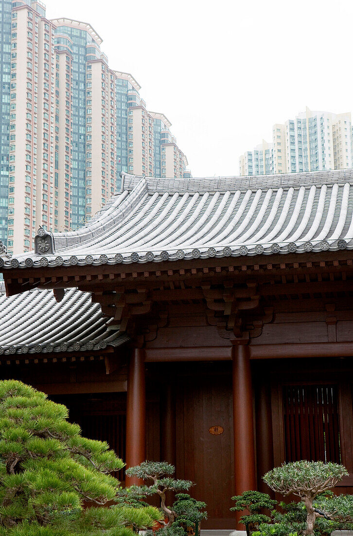 Innenhof des Chi Lin Kloster mit Hochhäusern im Hintergrund, Kowloon, Hongkong, China