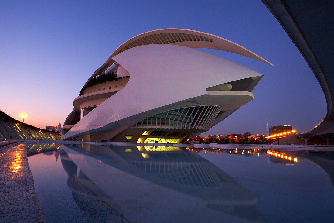 Palacio de las Artes Reina Sofía, City of Arts and Sciences by S. Calatrava, Valencia, Comunidad Valenciana, Spain
