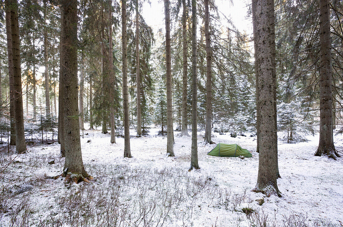 Zelten im verschneitem Wald, Harz, Niedersachsen, Deutschland
