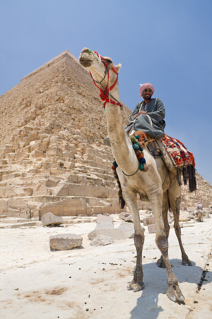 Camel Driver in Front of Pyramid of Khafra, Egypt, Cairo