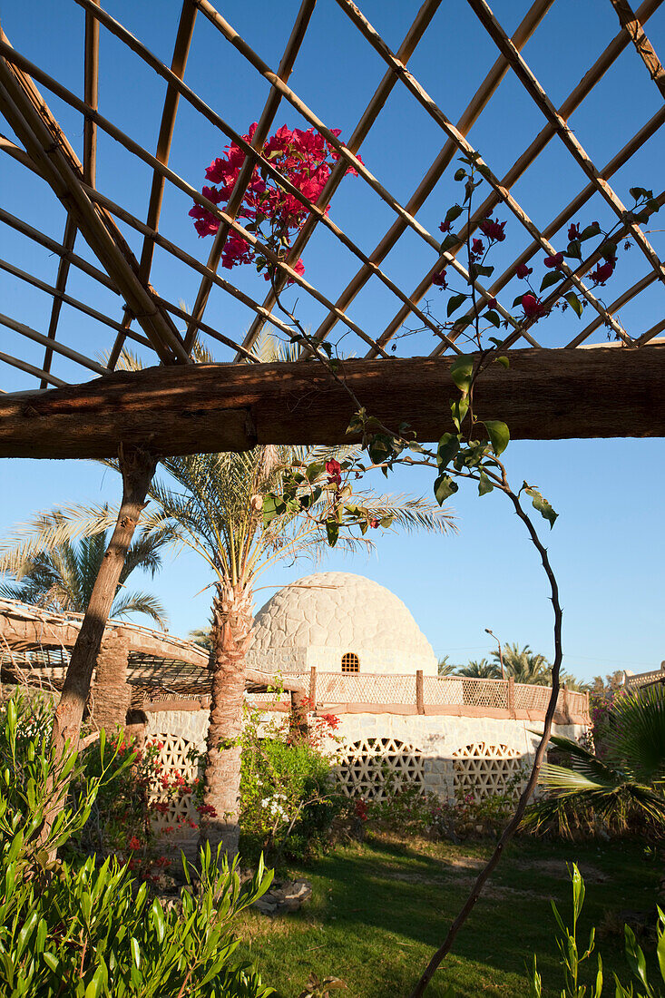 Qasr El Bawity Ecolodge Hotel in Bahariya Oasis, Egypt, Bahariya Oasis, Libyan Desert