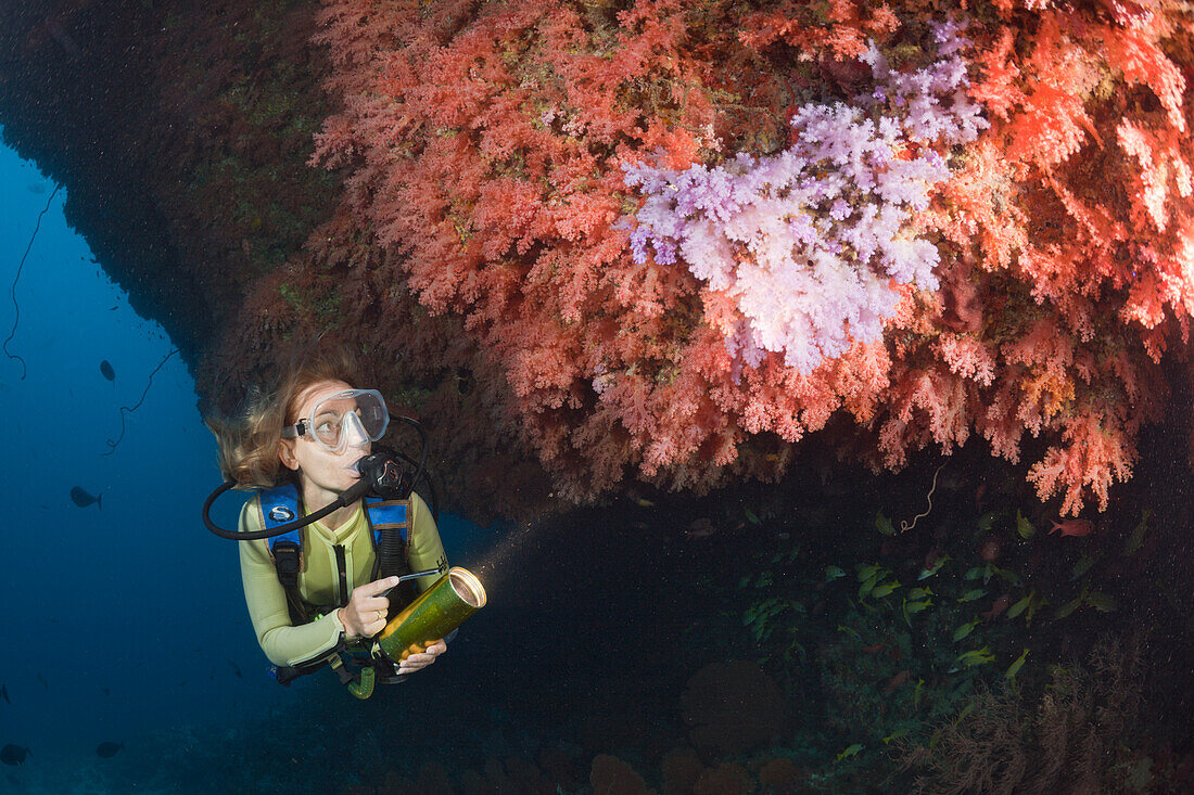 Diver and Soft Coral Reef, Cironephthya sp., Maldives, Himendhoo Thila, North Ari Atoll