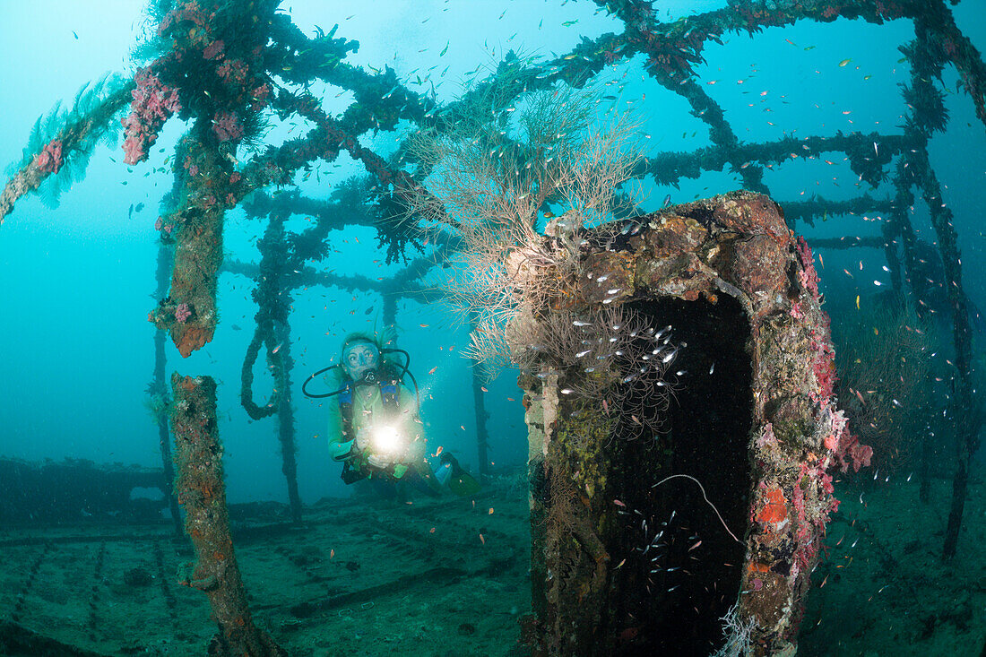 Superstructure of Kuda Giri Wreck, Maldives, South Male Atoll