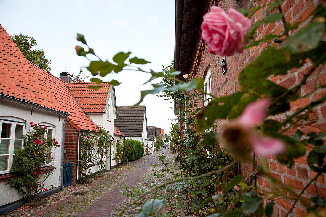 Häuser entlang einer Straße, Wyk, Insel Föhr, Schleswig-Holstein, Deutschland