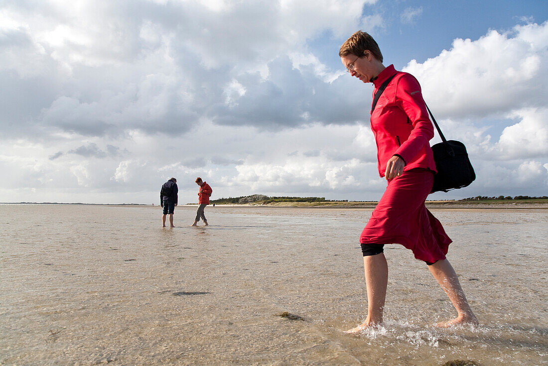 Mudflat hiking, Utersum, Foehr island, Schleswig-Holstein, Germany