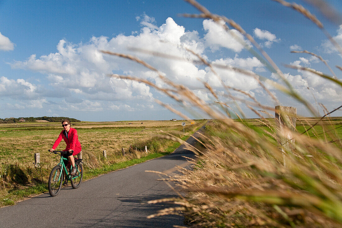 Radfahrerin im Vogelschutzgebiet Godelniederung, bei Witsum, Insel Föhr, Schleswig-Holstein, Deutschland
