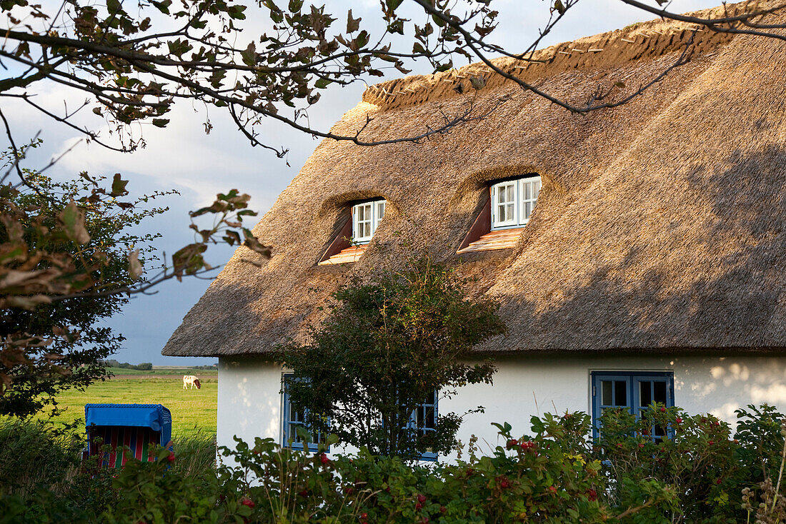 Frisian house, Alte Kirche, Pellworm island, Schleswig-Holstein, Germany