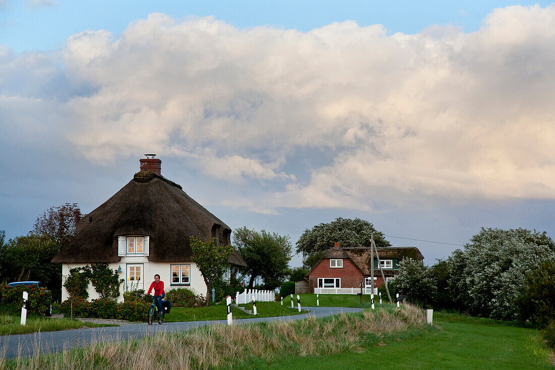Frisian houses, Alte Kirche, Pellworm island, Schleswig-Holstein, Germany