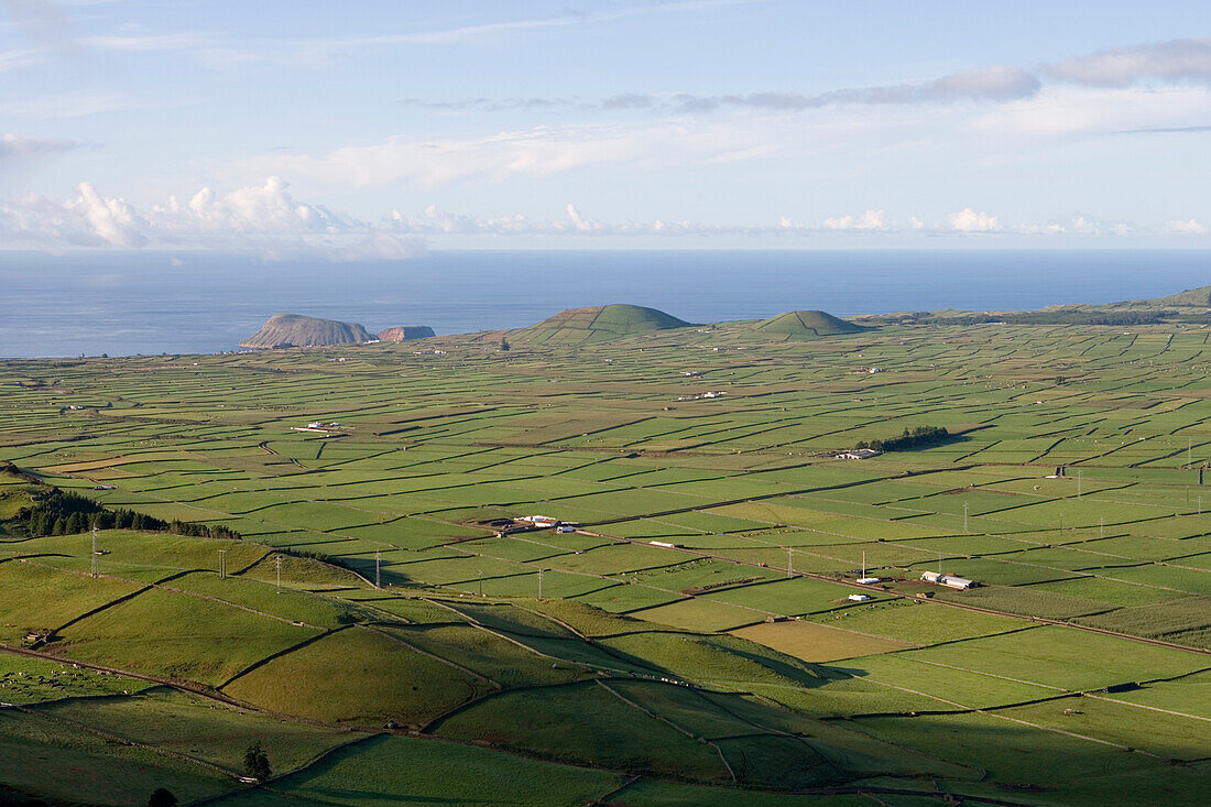 Blick auf saftige Weideflächen mit Kühen vom Miradouros da Serra do Cume Aussichtspunkt, Insel Terceira, Azoren, Portugal, Europa