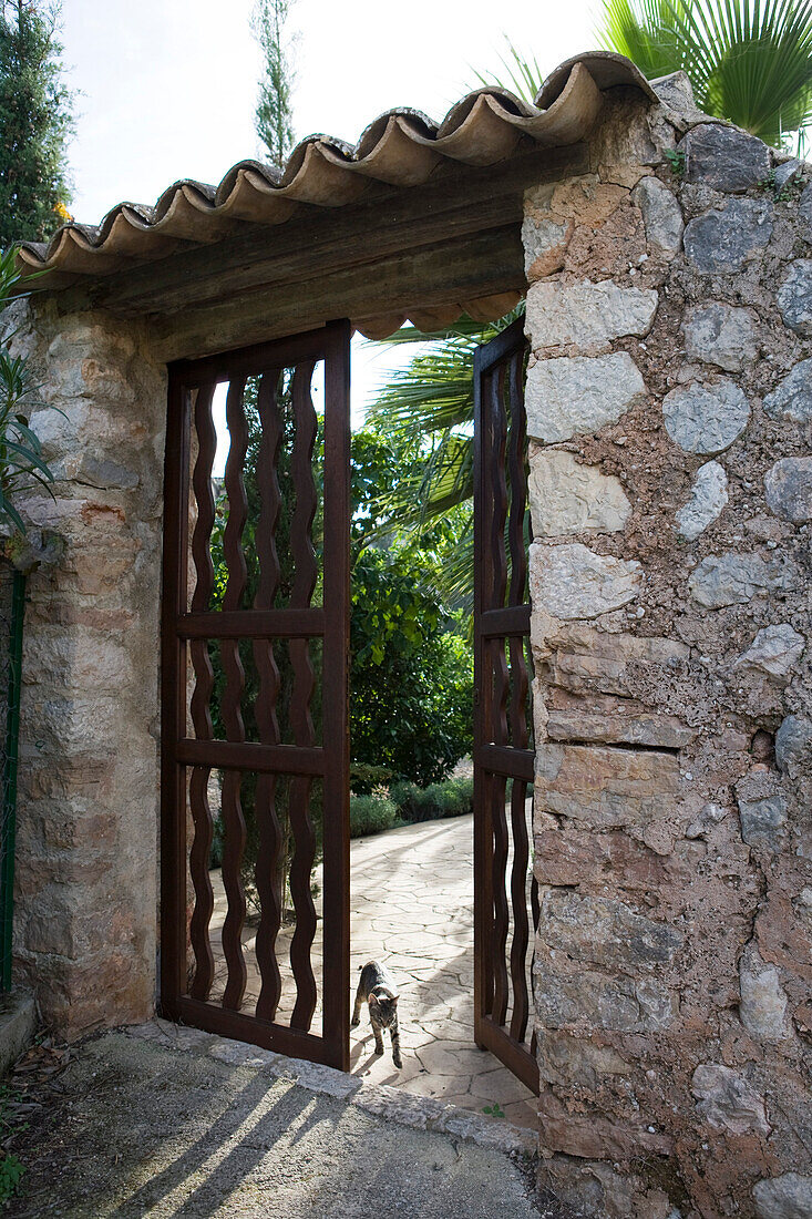 Cat in the garden gate of Ca's Curial Finca Hotel, Soller, Mallorca, Balearic Islands, Spain, Europe